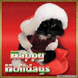 Cat Happy Holiday Picture