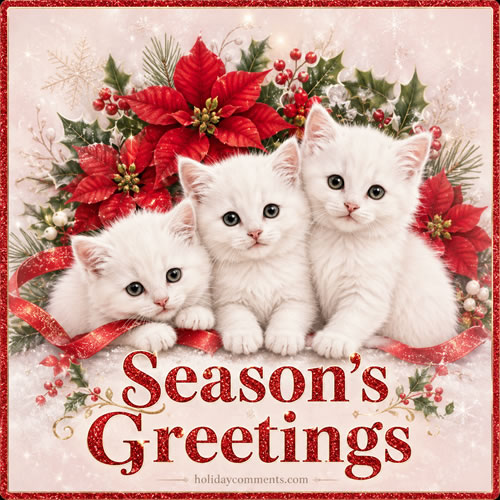 Kittens Seasons Greetings