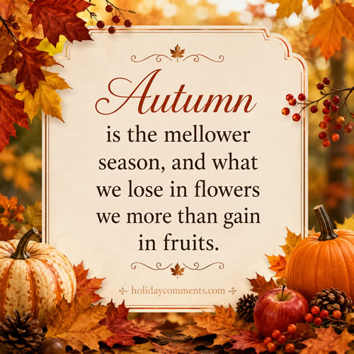 Autumn Mellower Season