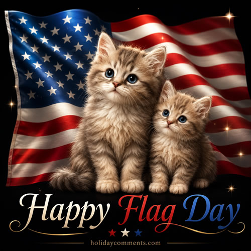 Flag Day Cats