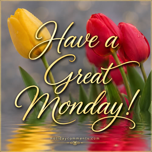 Great Monday Tulips Monday image to share