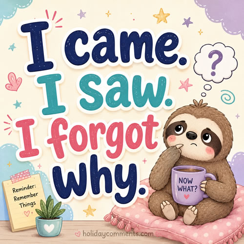 I Came I Saw I Forgot Random image to share