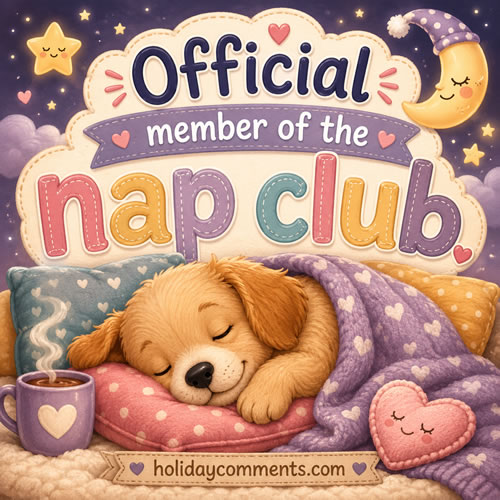 Nap Club Random image to share