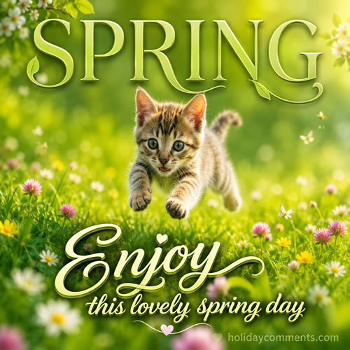 Lovely Spring Cat