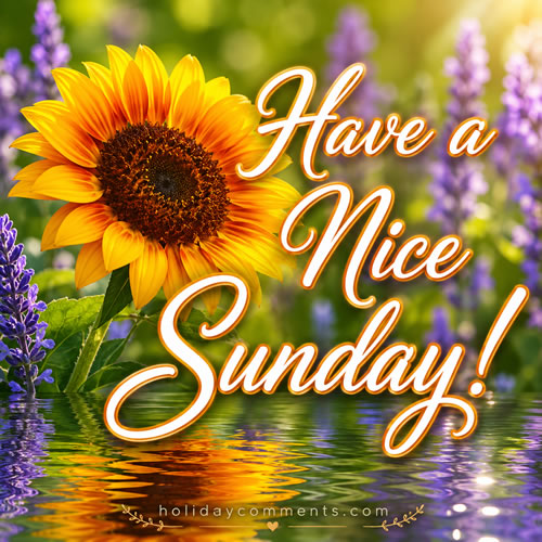 Nice Sunday Water Sunday image to share