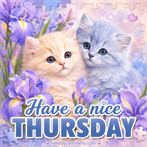 Cat Nice Thursday image to share