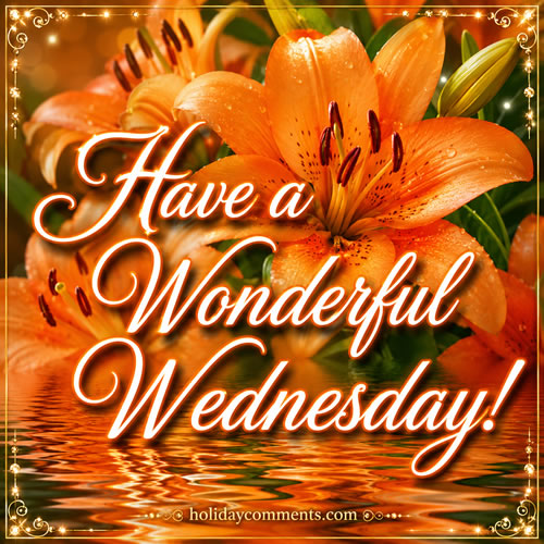 Wednesday Wonderful image to share