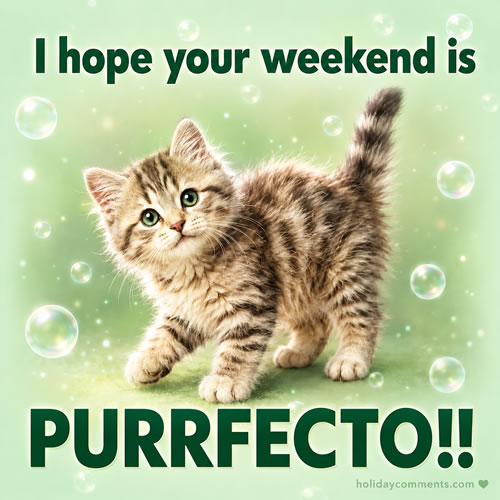 Purrfecto Weekend image to share