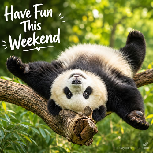 Relaxing Panda Weekend image to share