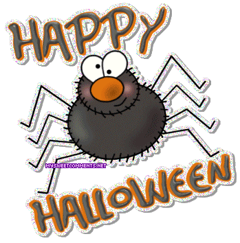 Spider Halloween Picture