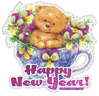 Hny Bear Picture